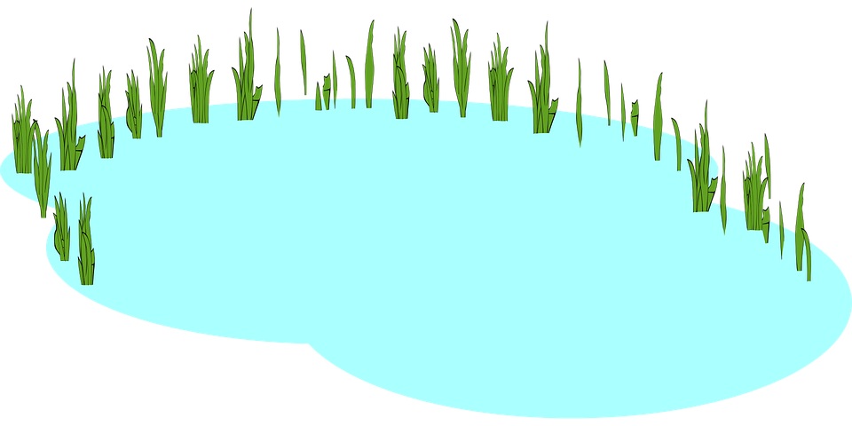 Lagoa Marsh Lago Gr fico Vetorial Gr tis No Pixabay