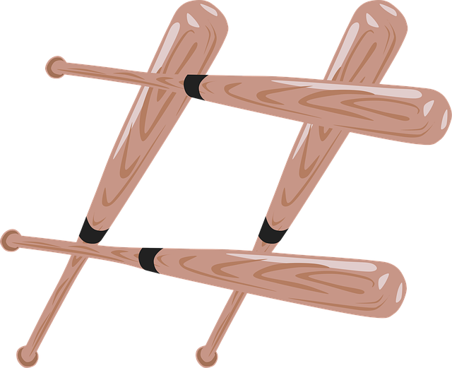 Free bats baseball sport vector