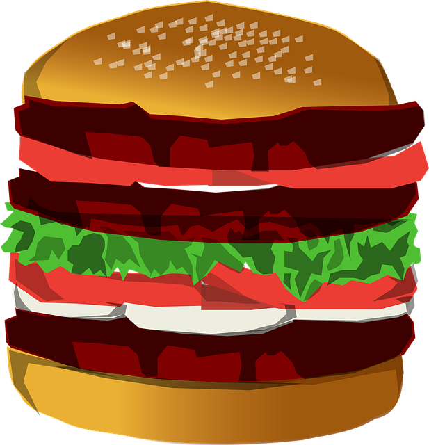 Free burger hamburger food illustration