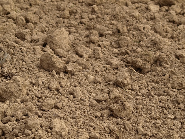 100+ kostenlose Landwirtschaft Erde Acker und Acker-Bilder - Pixabay