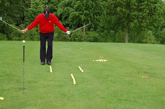 Free Golfer Golf photo and picture