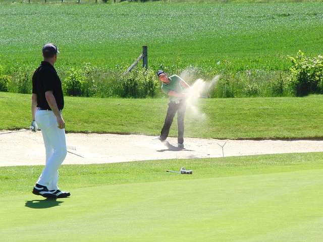 Free Tee Golf photo and picture
