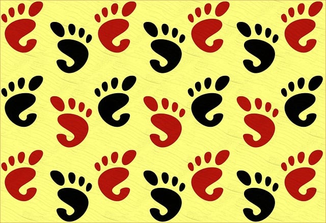 Free feet foot prints illustration