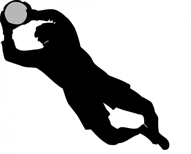 Free goalie goal goalkeeper illustration