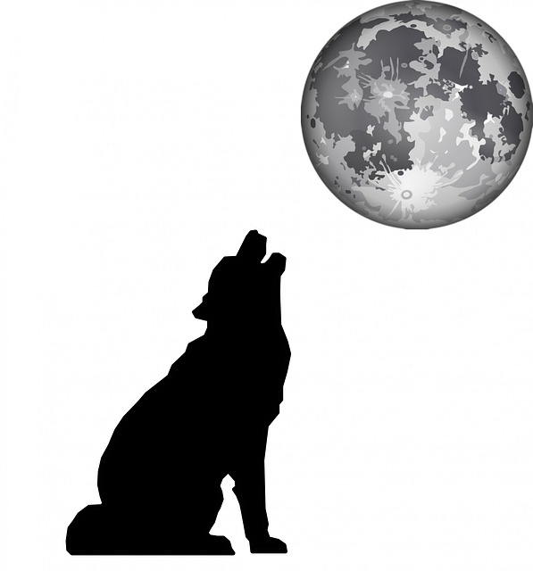Free silhouette black wolf illustration