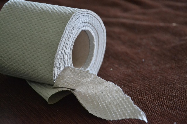 Free Toilet Paper Paper photo and picture