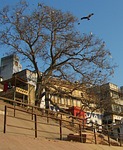 steps, river side, ganges