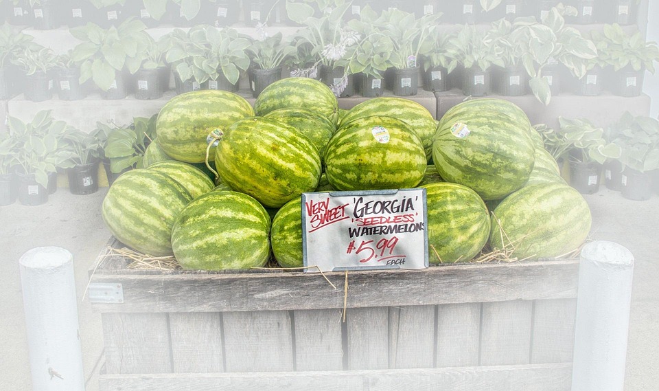 Watermelons Fruit Stand Free photo on Pixabay
