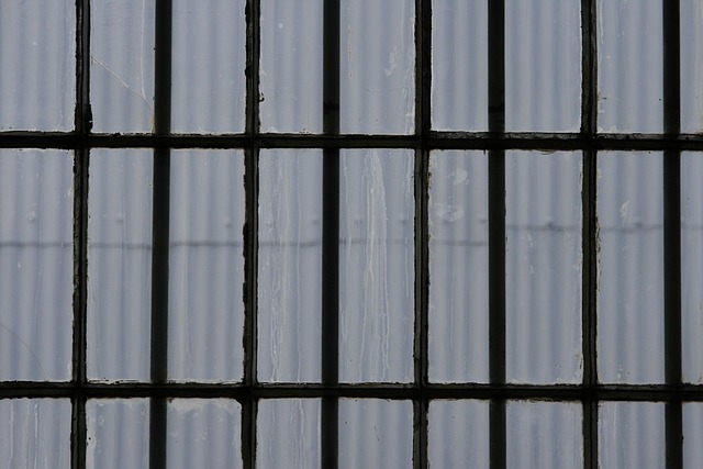 Free Window Glass photo and picture