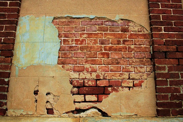 Free Brick Texture photo and picture