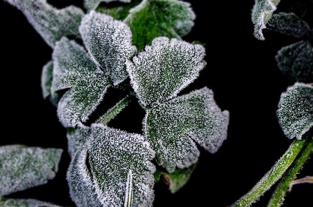 10+ kostnadsfria bilder med Förkyld och Nässpray - Pixabay