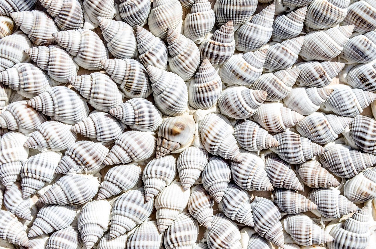 Abstract - free online jigsaw puzzle photo