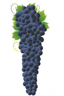 cacho de uvas imagens pixabay baixe imagens grátis