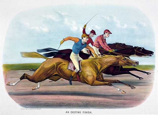 Free horse racehorse horses illustration