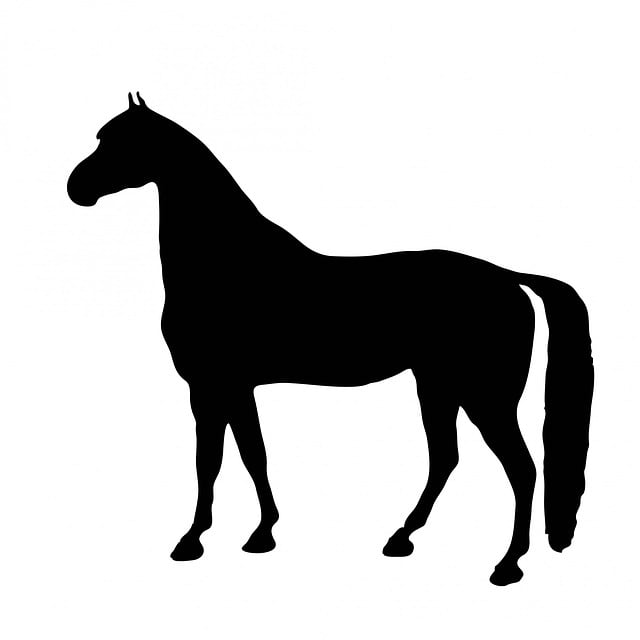 Free horse pony thoroughbred illustration