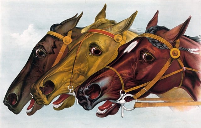 30,000+ Free Horse Racing &amp; Horse Images - Pixabay