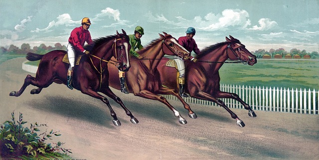 Free horsem horses racehorse racehorses illustration