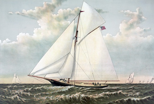 Free yacht race racing illustration