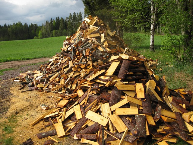 Free Beginning Of Summer Firewood photo and picture