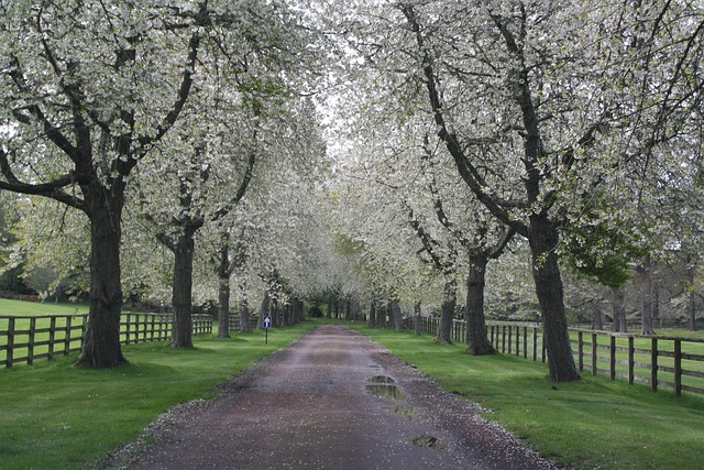 Free Landscape Nature photo and picture