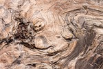 wood, structure, fund