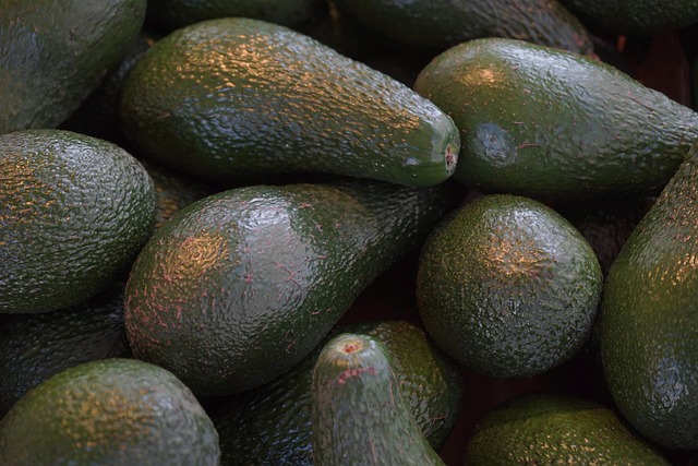 Free Avocados Fruit photo and picture