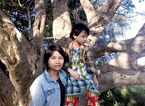 Muchachas, Árbol, Escalada