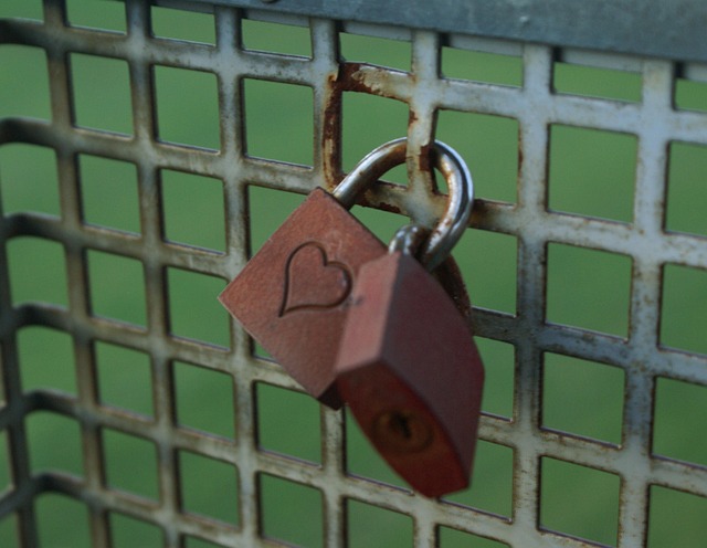 Free Castle Love photo and picture