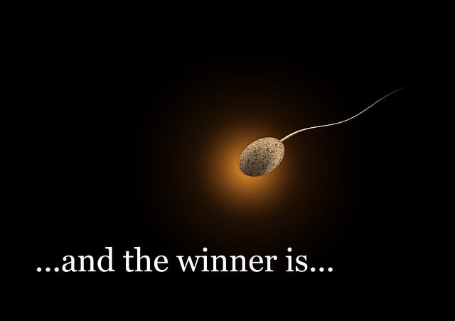 Free sperium sperm dark illustration