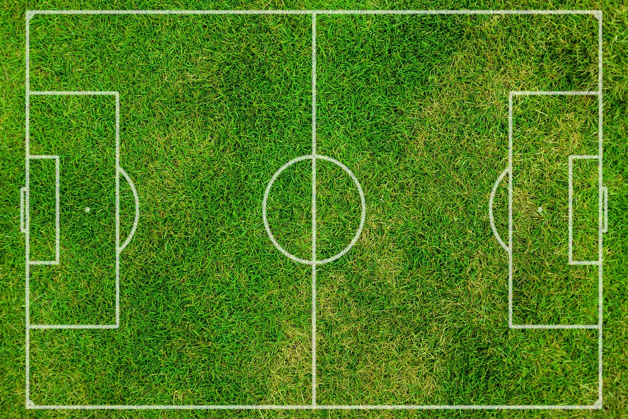 1 000 Free Pitch Soccer Images Pixabay