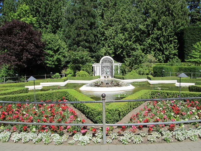 Free Star Pond Garden photo and picture