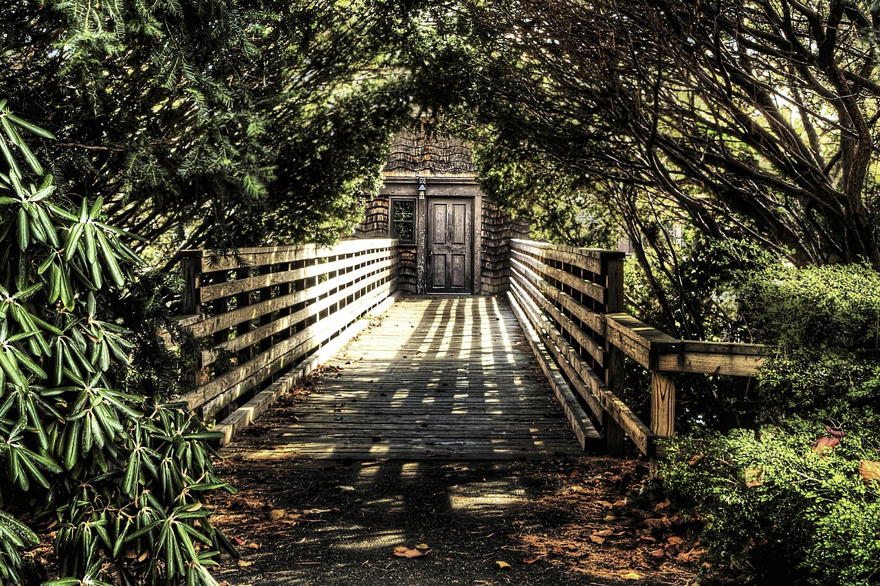 Bridge - free online jigsaw puzzle photo