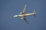 the plane, sky, landing