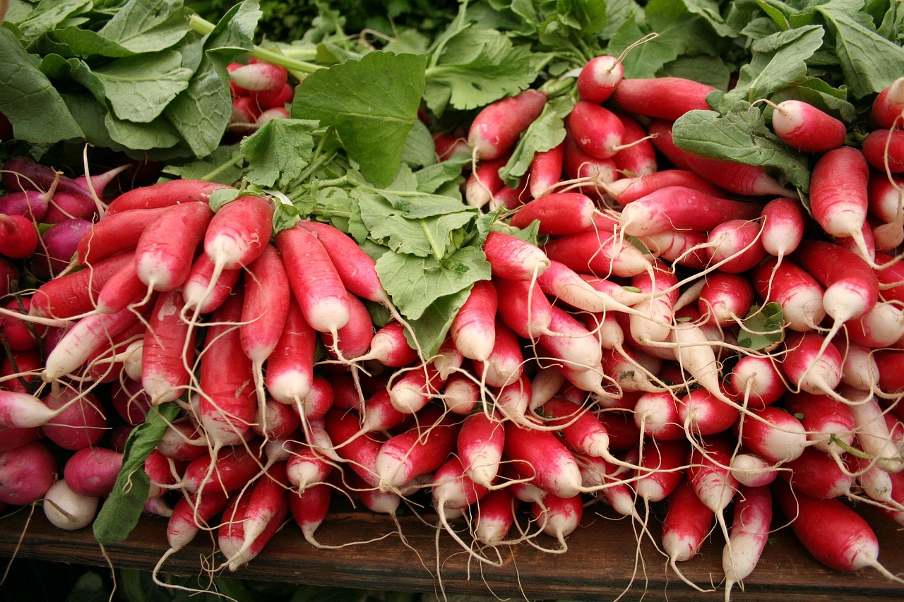 Radishes - free online jigsaw puzzle photo