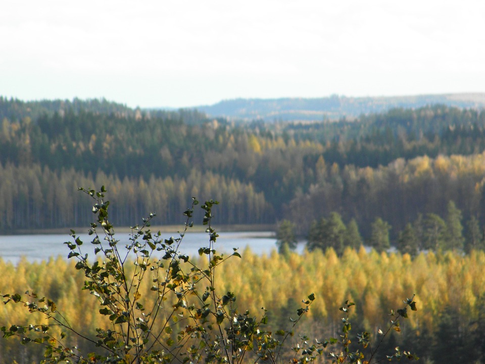 Ilmaisen Valokuvan Syksy Saaristo Saimaa Suomi Ilmainen Kuva Ilmaisen valokuvan syksy saaristo saimaa suomi ilmainen kuva