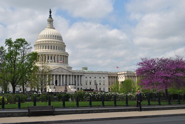 Free Us Capitol Building photo and picture
