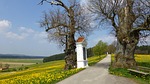 allgäu, spring, georgi mountain