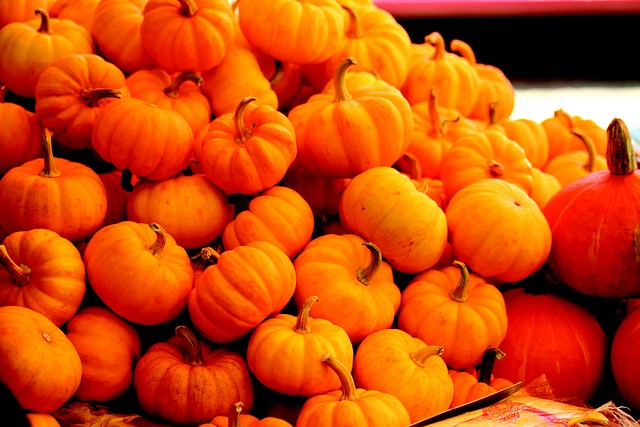Free Pumpkins Vegetable photo and picture