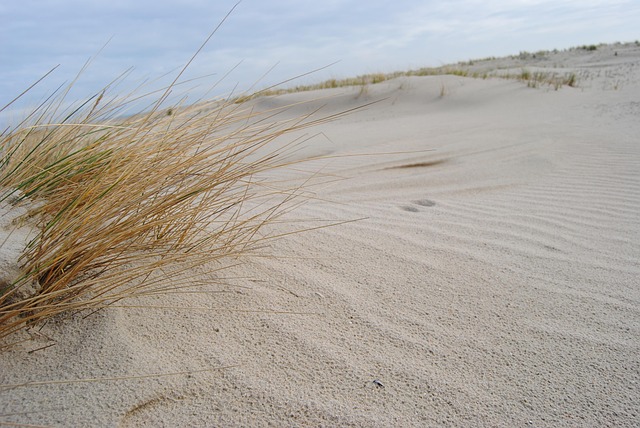 Spiekeroog, Dunas De Arena