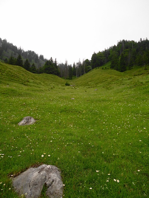 Free Grassland Mountains photo and picture