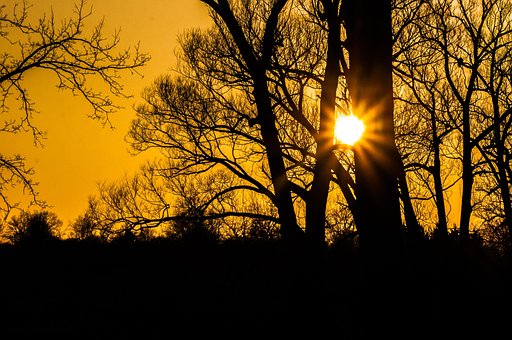 Solnedgang, Solstråle, Landskab