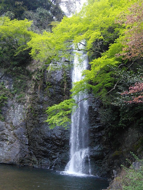 Free Waterfall Minoh photo and picture