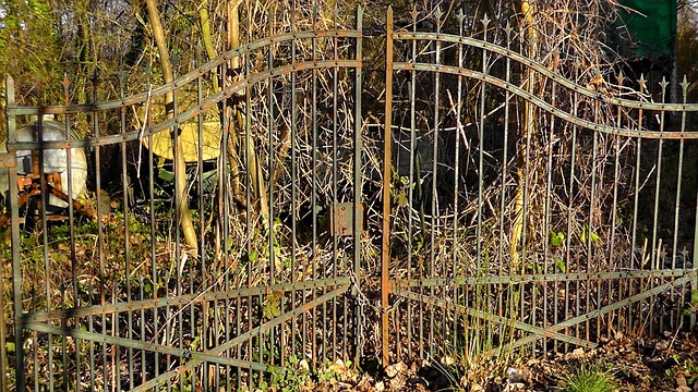Verwilderter Garten Garden Wild Kostenloses Foto auf Pixabay