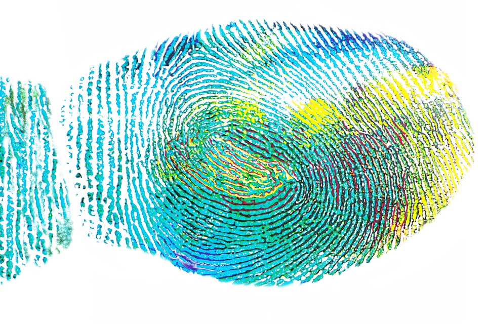 free illustration fingerprint expression free image on free illustration fingerprint expression free image on