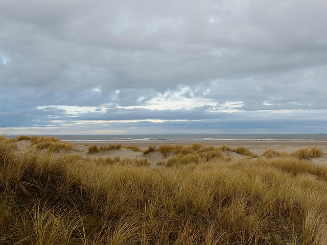 Free Island Ostfriesland photo and picture