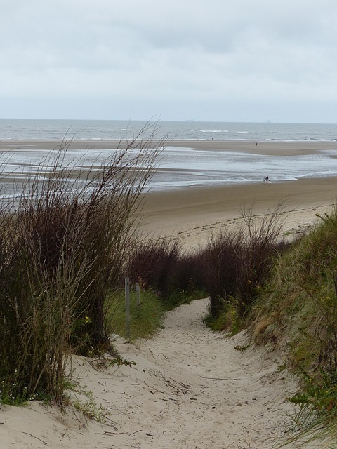 Free Island Ostfriesland photo and picture