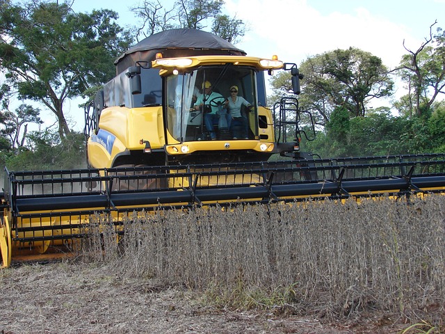 Free Plantation Soy photo and picture