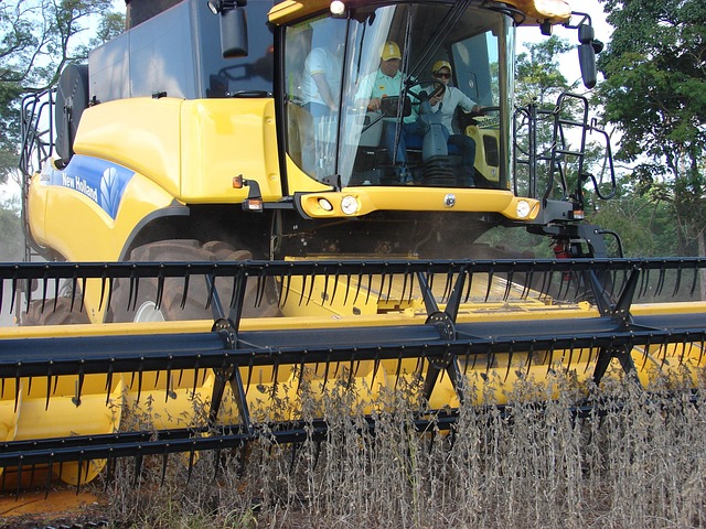 Free Plantation Soy photo and picture