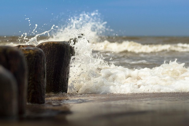 Free Water The Baltic Sea photo and picture