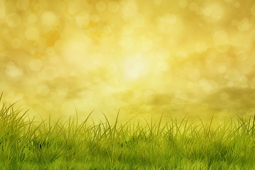 Free Meadow Grass illustration and picture